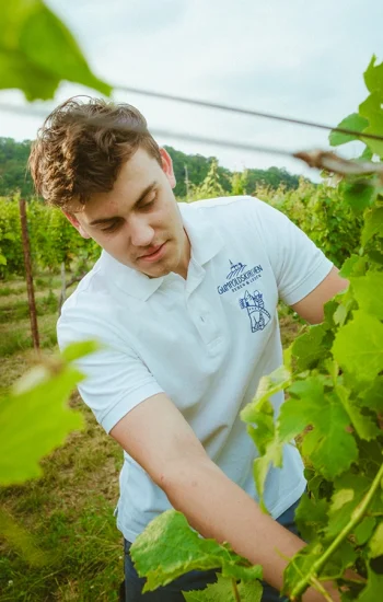 Michi_kamper Michi_kamper